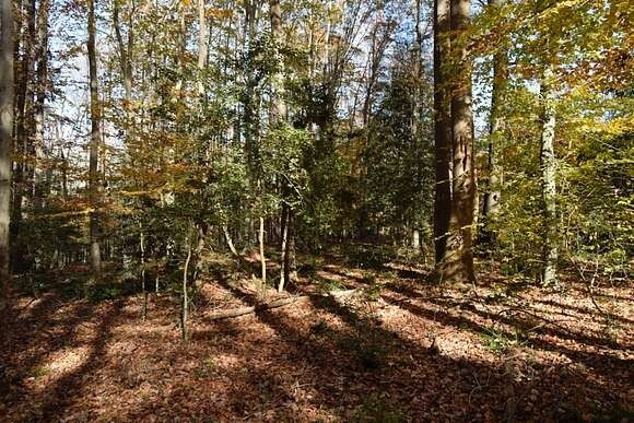 Residential Land (0.29 Acres) For Sale In Fairfield Bay, AR. $4,500