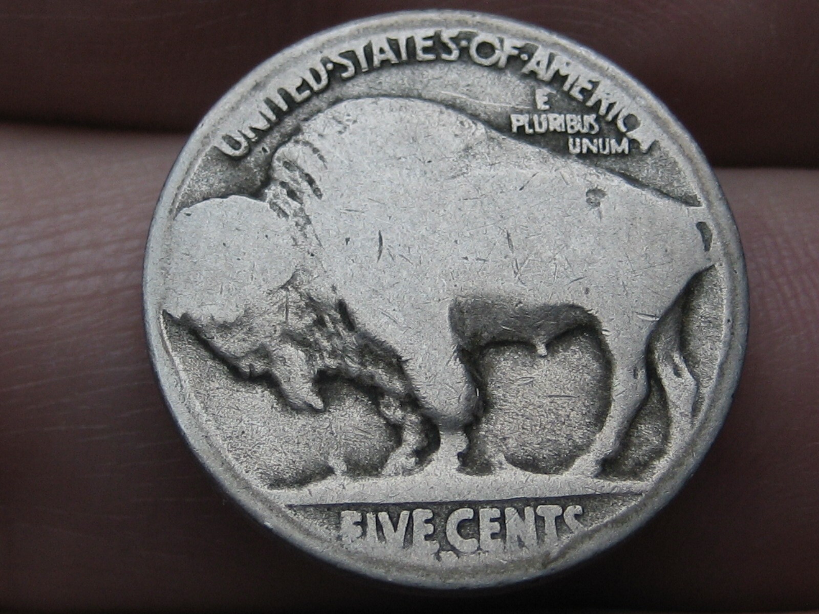 1916 D Buffalo Nickel 5 Cent Piece- Denver, Good Reverse Details