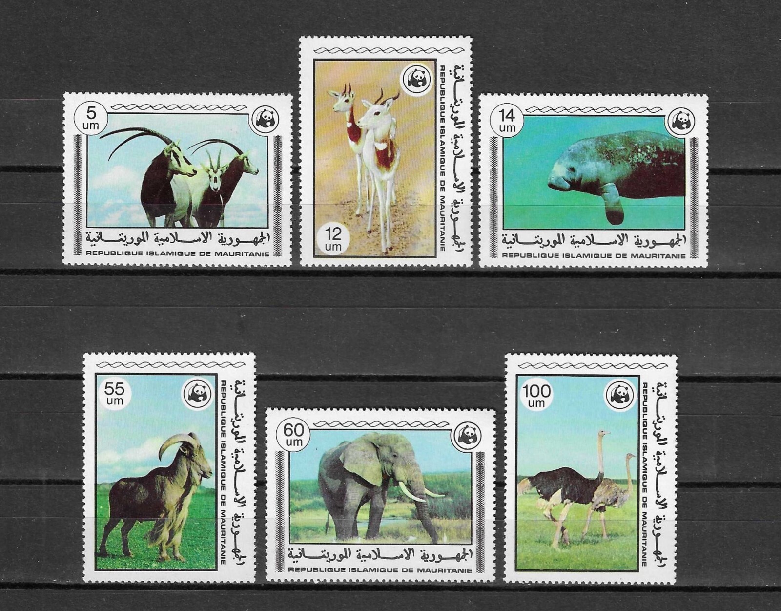 MAURITANIA 1978 WWF SG 573/578 MNH