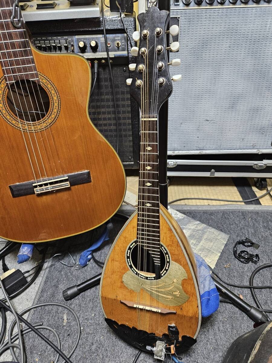 Suzuki Mandolin NO6 Amplifier connectable! Piezo Jack with case video!