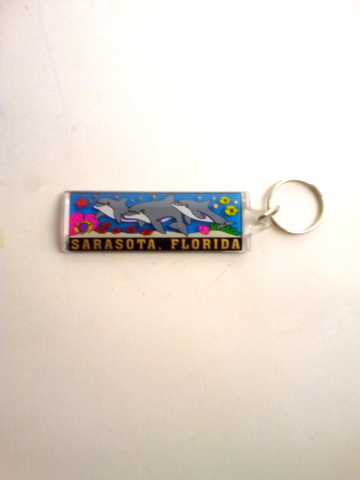 Sarasota Florida Keychain Dolphins Acrylic Travel Souvenir
