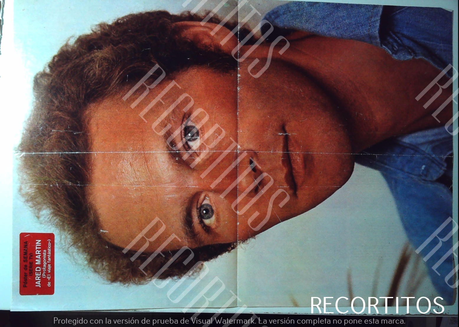 JARED MARTIN CUTOUT FANTASTIC VOYAGE POSTER PAUL MACCARTNEY LINDA THE WINGS