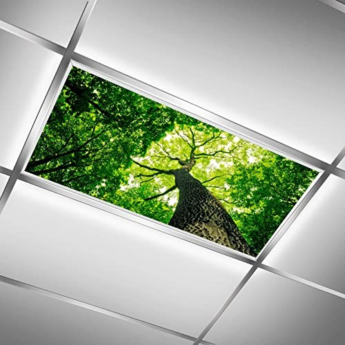 Fluorescent Light Covers for Classroom Ceiling Lights – 2x4ft A Big Tree