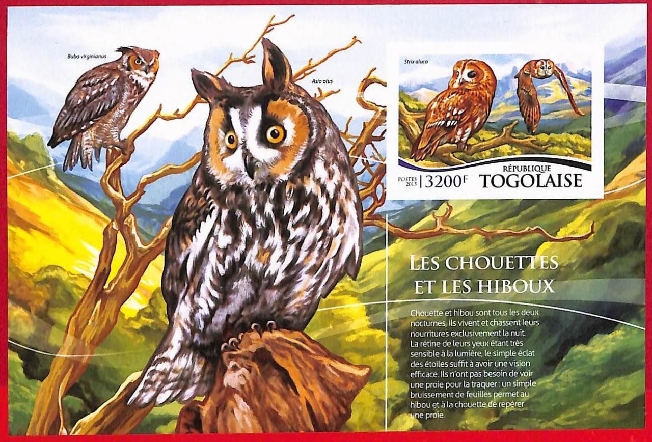 A3682 - TOGO  - ERROR IMPERF Stamp Sheet - 2015 -  Birds OWLS