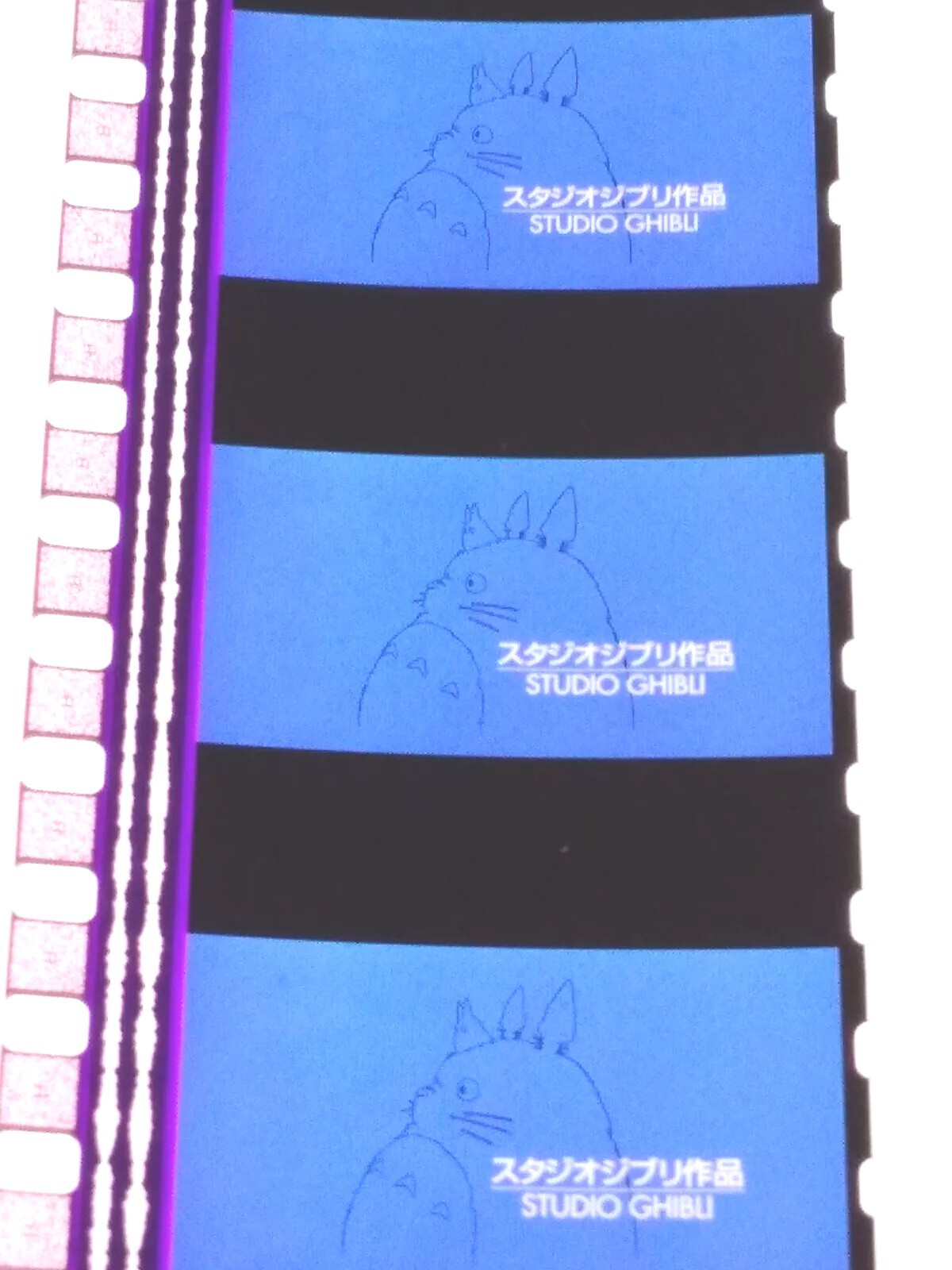 35mm STUDIO GHIBLI (TOTORO LOGO) STRIP/CELL FILM/MOVIE/TRAILER/ANIME MIYAZAKI
