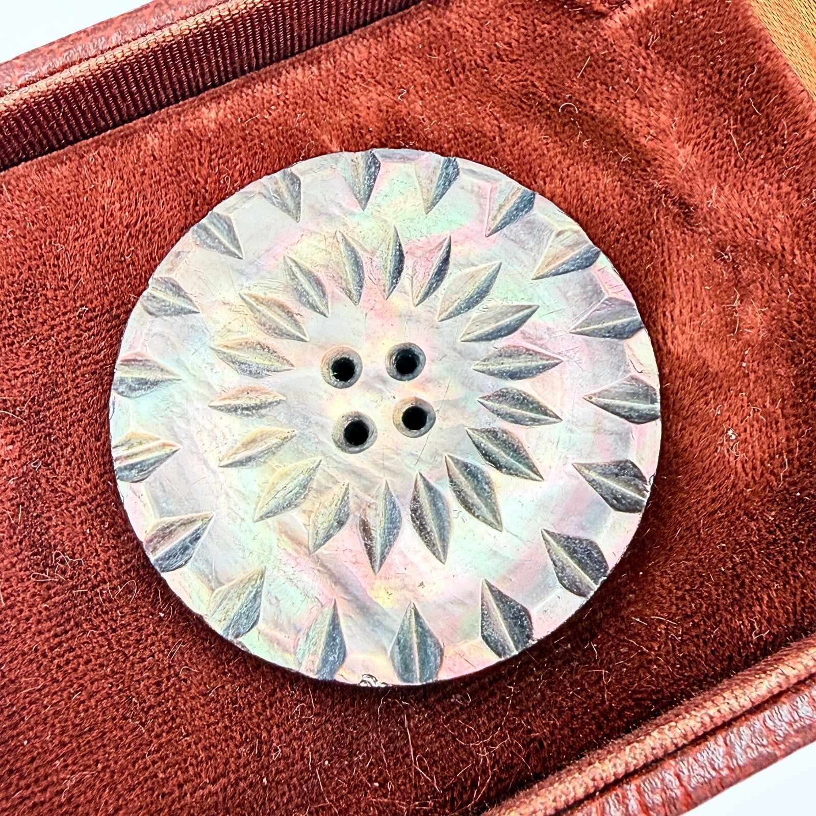Antique Carved Starburst Shell Abalone Collectible Button