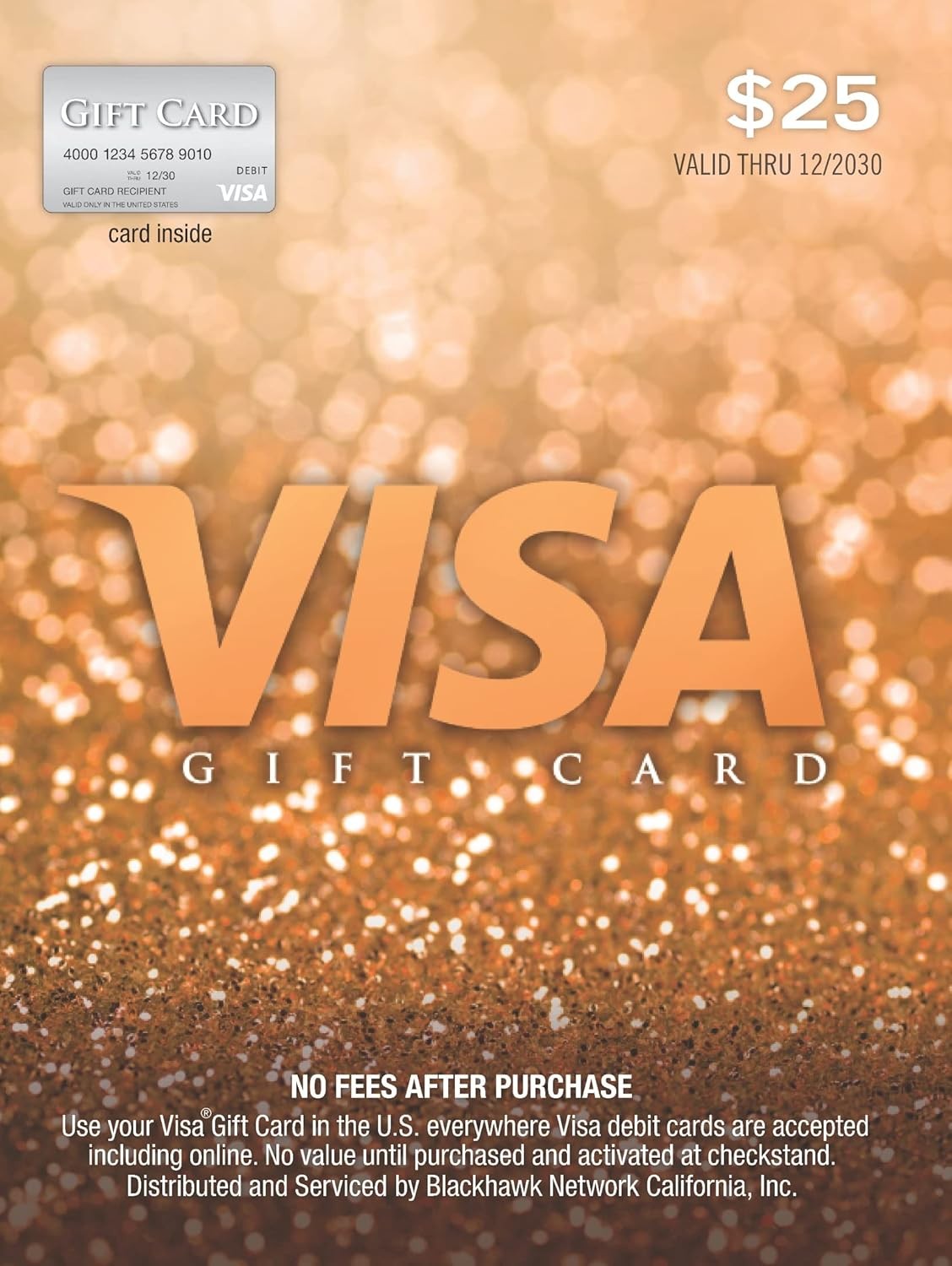 Visa $25 Gift Card (plus $3.95 Purchase Fee) 