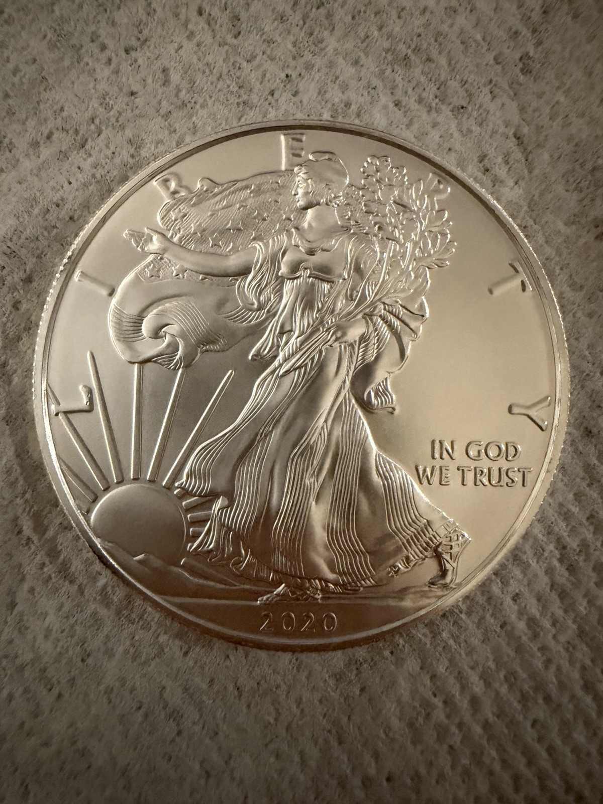 2020 American Silver Eagle 1oz Roll of 20 BU Coins in Mint Tube