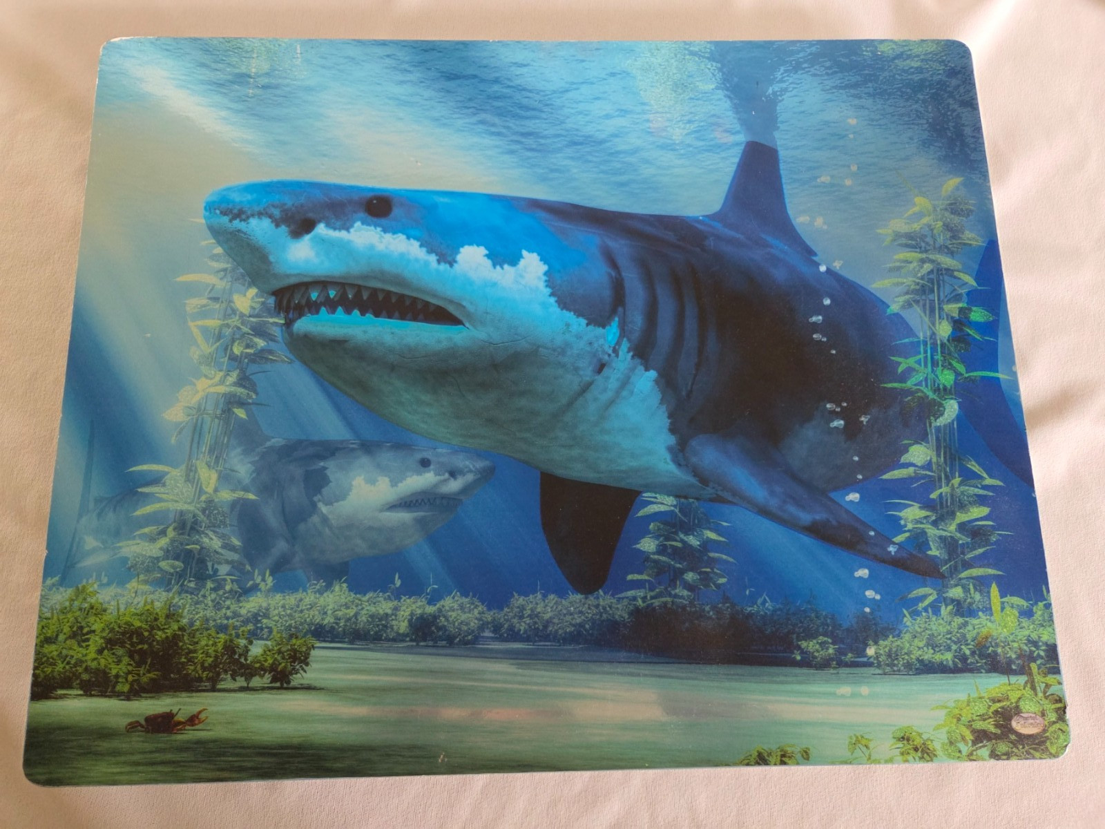 "The Biggest Shark" by Daniel Eskridge Large Megalodon Wall Art Print on Wood