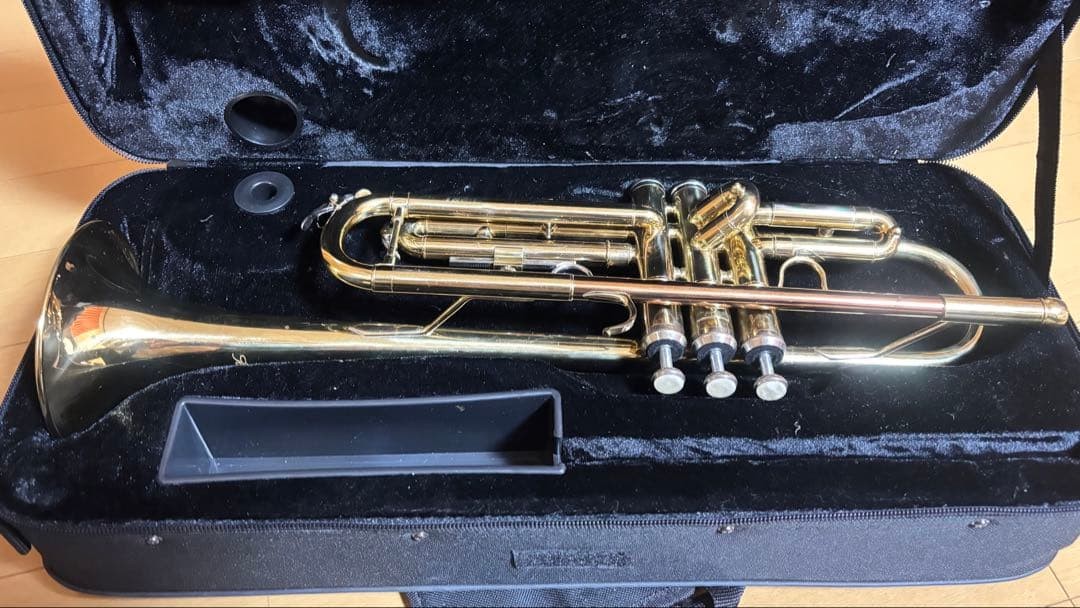 trumpet with case gold gold
