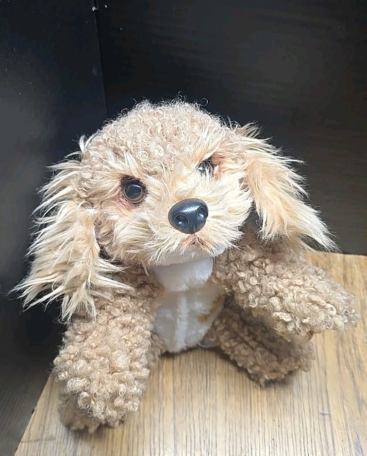 Little Live Pets My Really Real Puppy - Curley The Cavoodle Interactive Plush #N