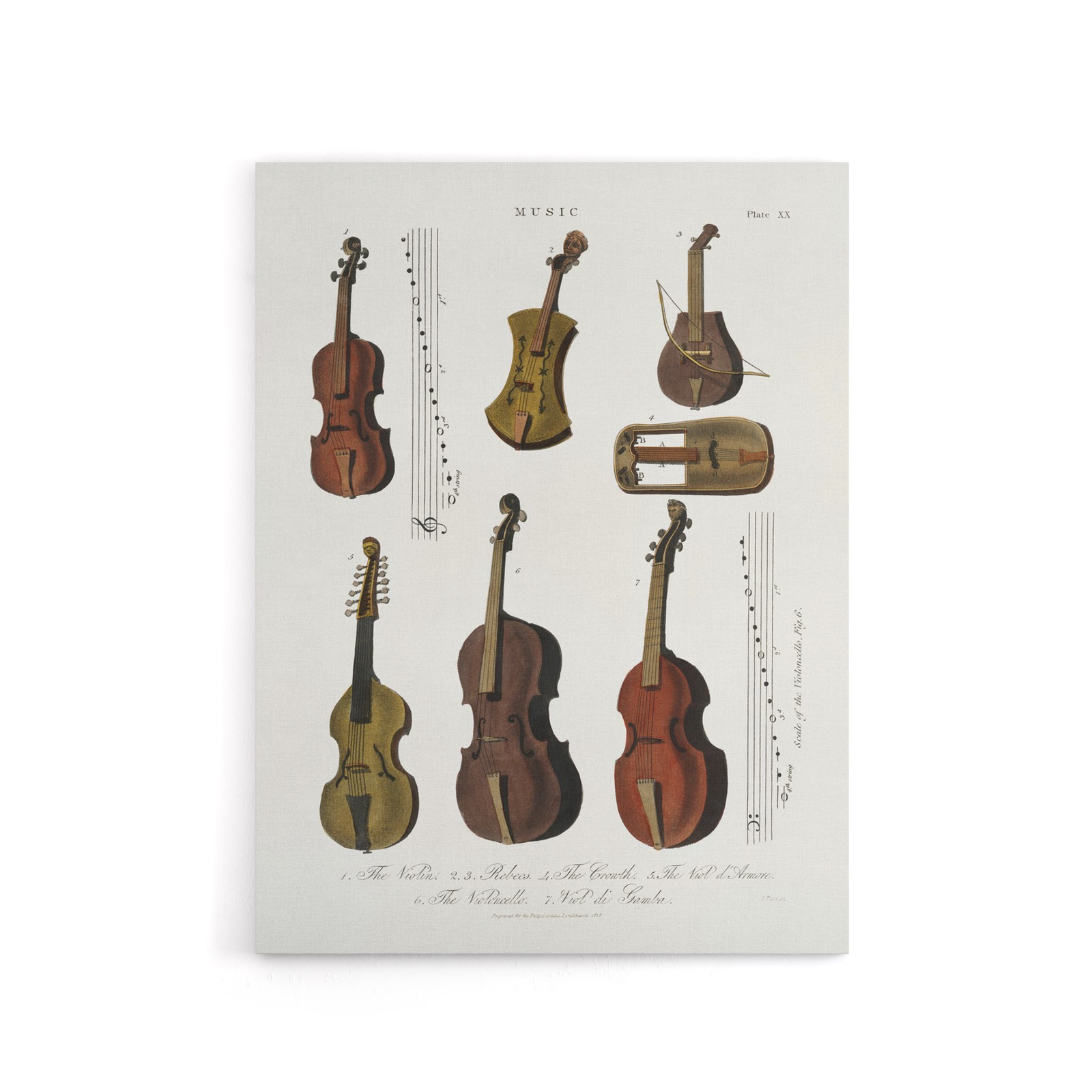 Violin Viola Cello Encyclopedia Londinensis Canvas Wall Art