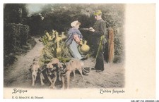 Car Abtp10 0778 Dog - Belgium - Flemish Dairy - Dog Car