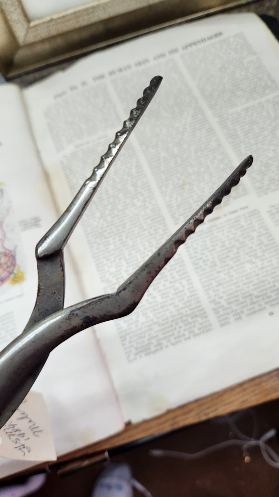 Antique Adjustable Urethral Dilator Surgical Instrument c.1900 Steel Medical...