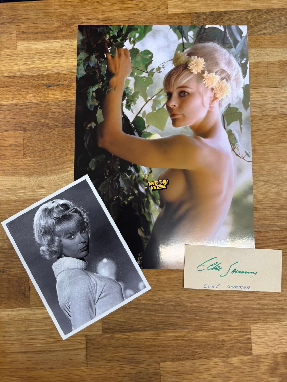 Elke Sommer German actress & Hollywood star, genuine Autograph