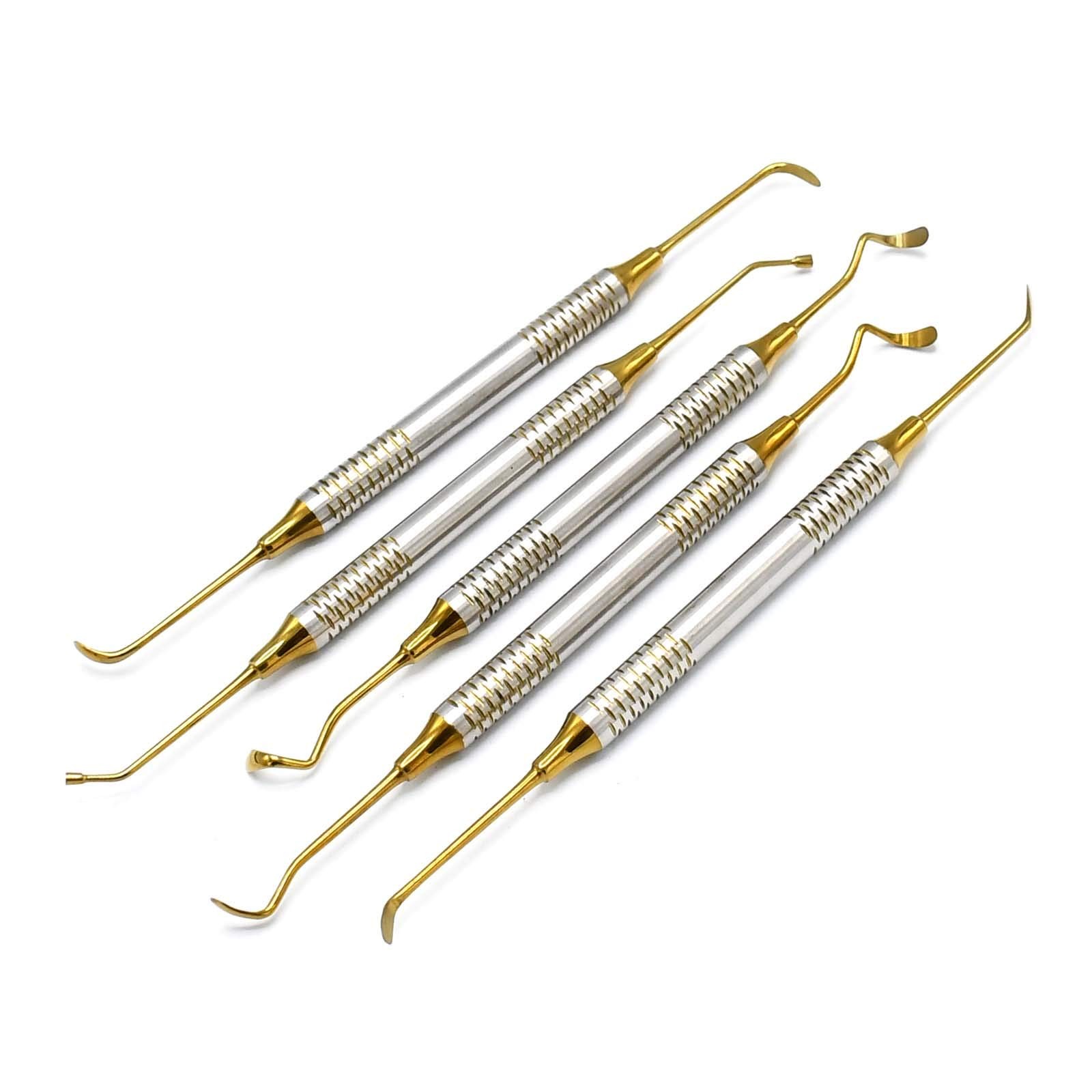 Premium 5 pcs Sinus Lift Instruments Set Kit Implant Dental Dentistry DN-2188