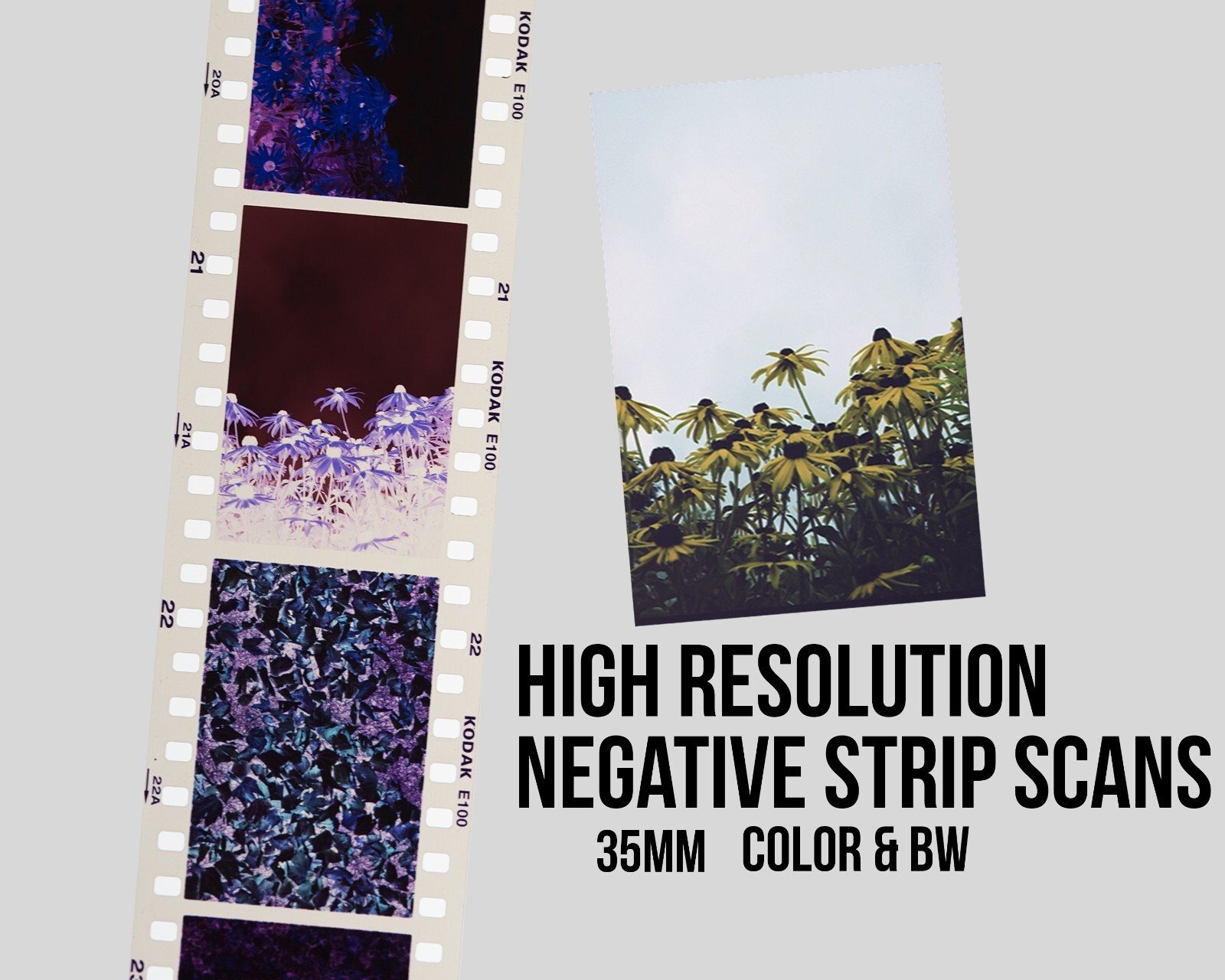 51 - 100 Photo Negatives Strips converted to DVD.