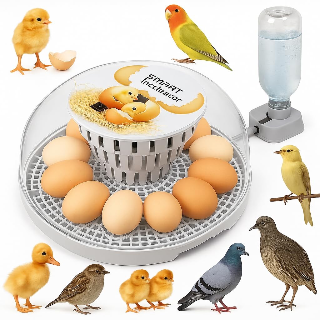 Egg Incubator Auto Turn for Hatching Chicken Quail Duck Eggs 12-24 Egg Capacity