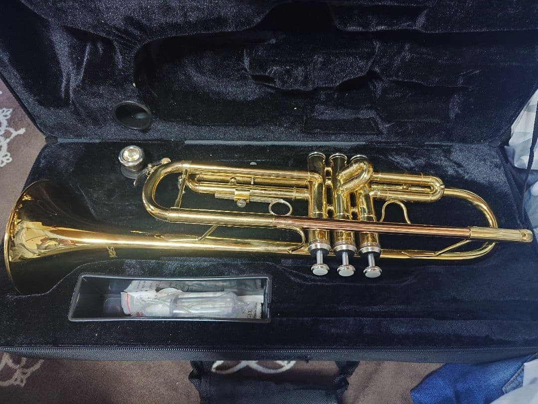 Gold trumpet body with Kaerntner case