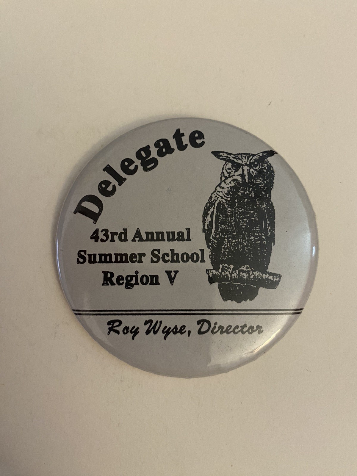 Roy Wyse Delegate 43rd Annual Summer School Region V Pin Back Button P50