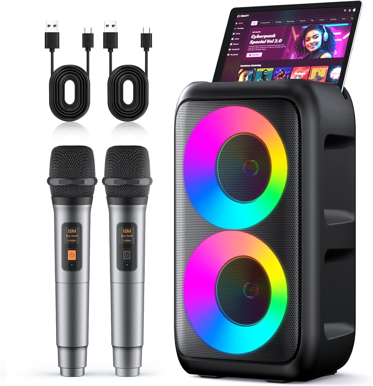 Karaoke Machine for Adults Kids, Portable Bluetooth Speaker with 2 Wireless