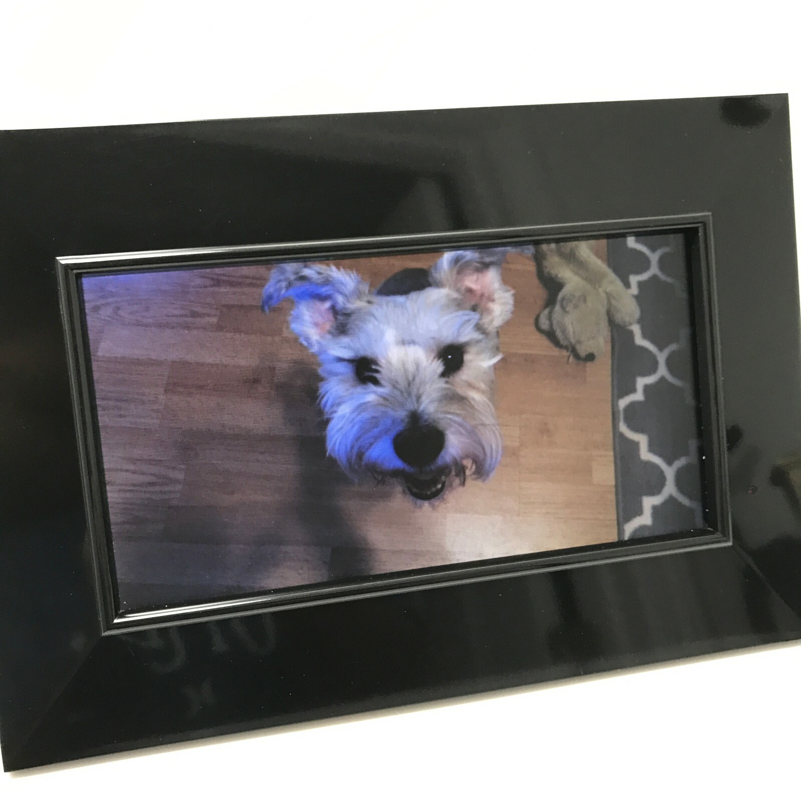eTEC 9" Digital Photo Frame PF9100 | Music, Video, Calendar, Alarm | Wall-Mount