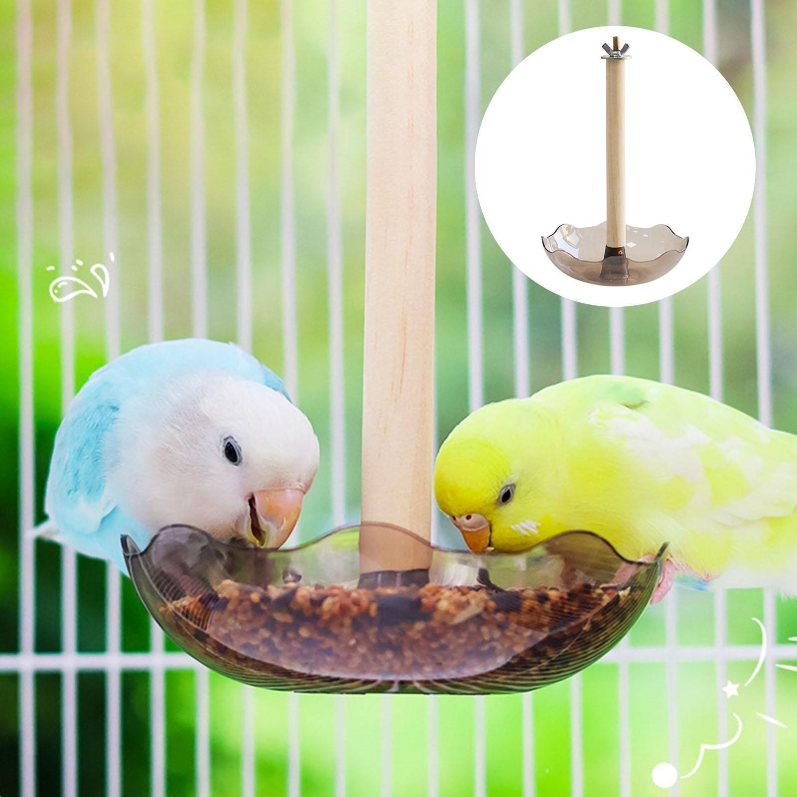 Bird Feeder Feeding Bowl Bird Accessories Practical Convenient Parrot Feeding
