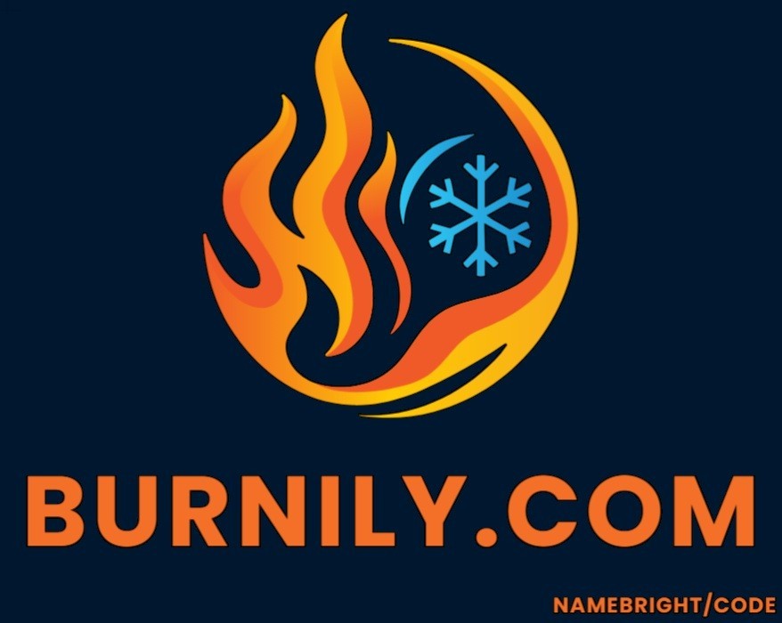 burnily.com LLLLLLL .com domain name Namebright or Code 7 letters