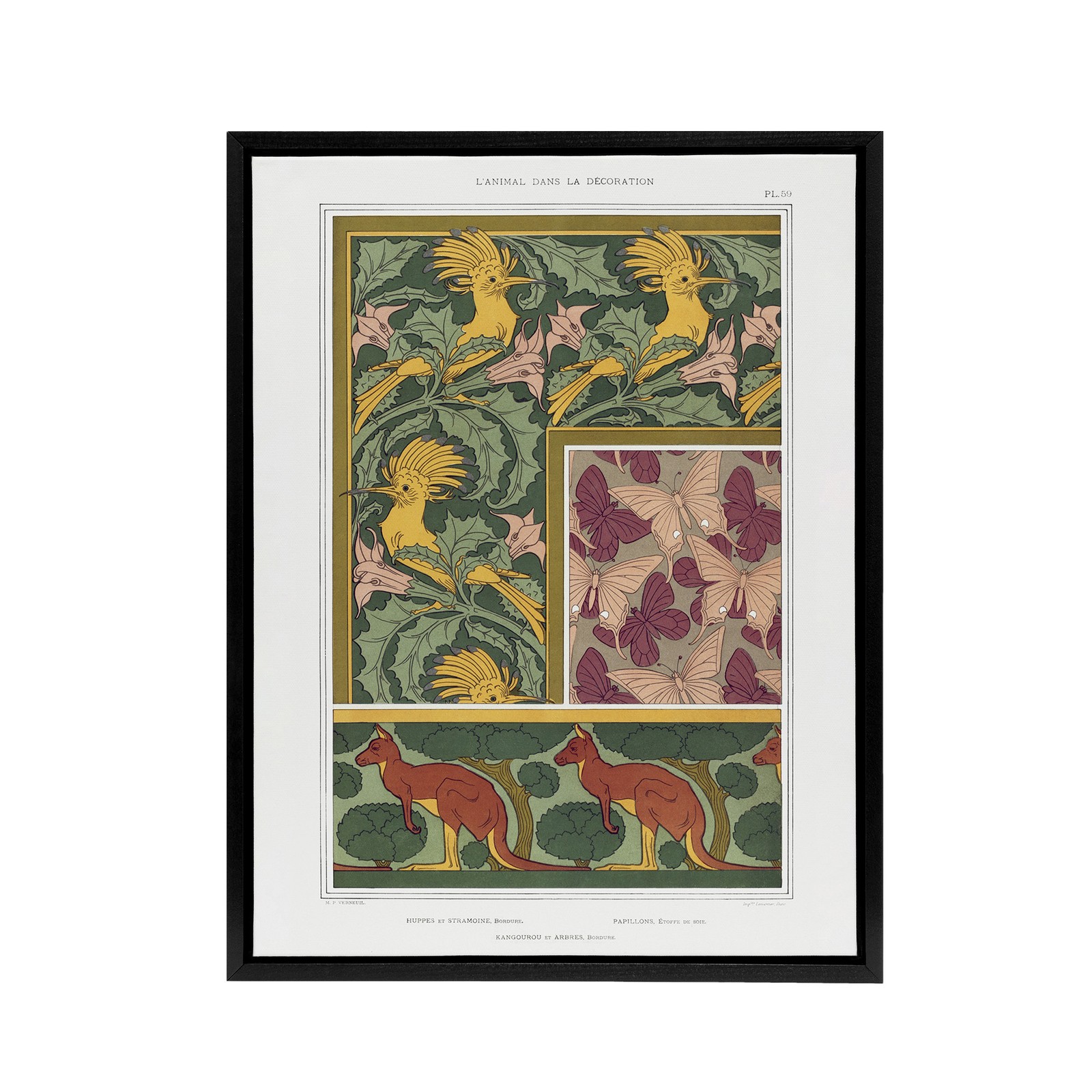 Birds Butterflies Kangaroo Pattern Framed Canvas Wall Art Print Verneuil