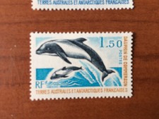 TAAF Yvert No 65 ** MNH Commerson's Dolphin Year 1977