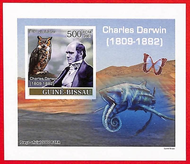 A5075a - GUINE-BISSAU - ERROR IMPERF Stamp Sheet - 2007 - Darwin, Animals OWLS