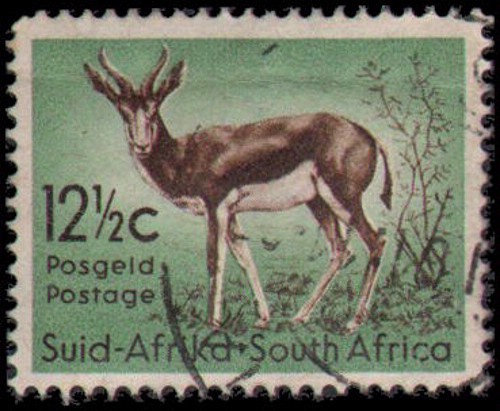 South Africa #250 Used