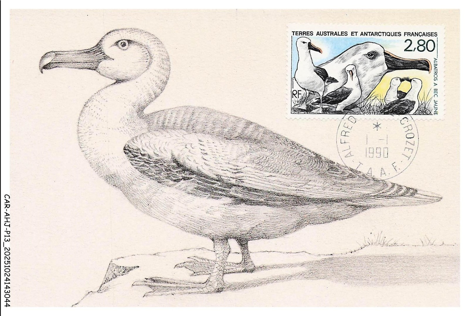 CAR-AHJP13-0610-MAXIMUM - AUSTRALIAN AND FRENCH ANTARCTIC TERRITORIES -