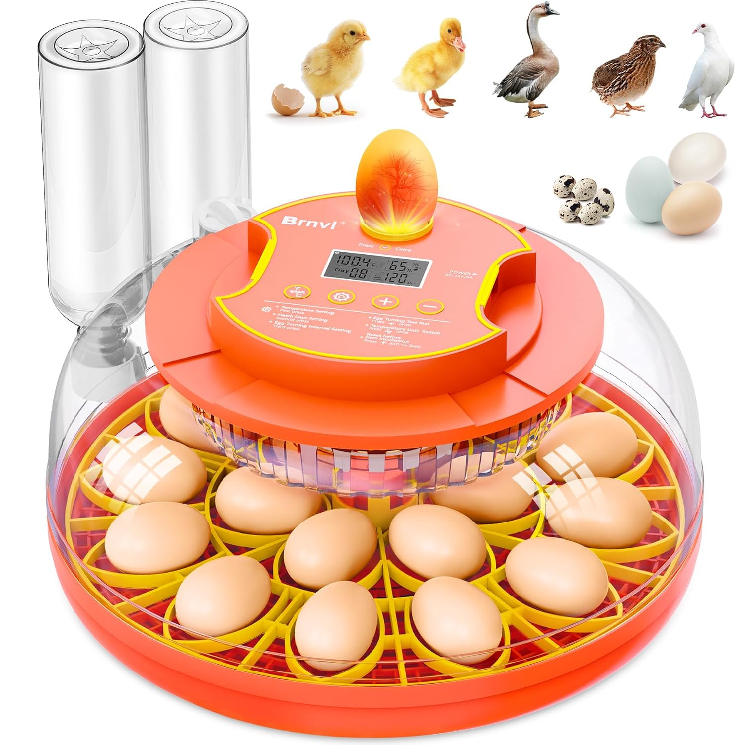 18 Egg Incubator with Auto Turning & Digital Temp Control for Home & Farm