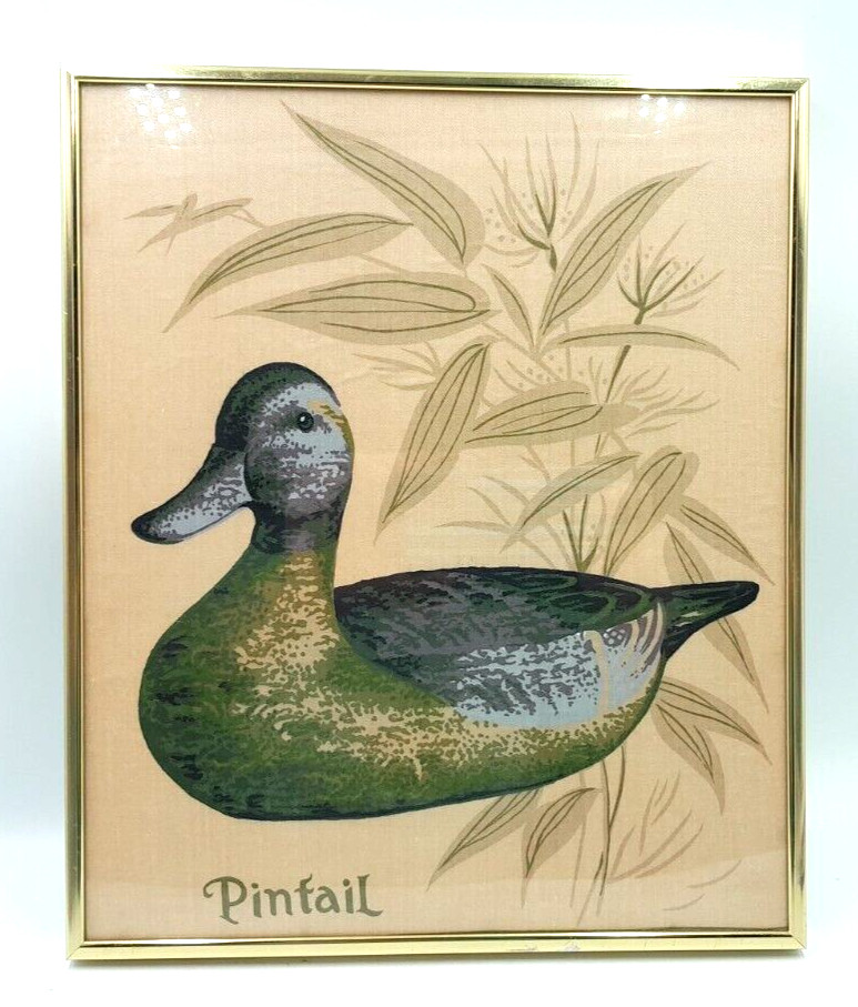 Cyrus Clark Vintage Pintail Duck Decoy Fabric Panel Professionally Glass Framed