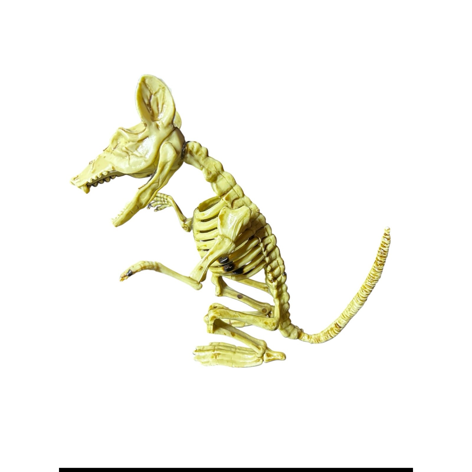 Skeleton Rat 7” Halloween Decoration - Adjustable Mouth and Arms