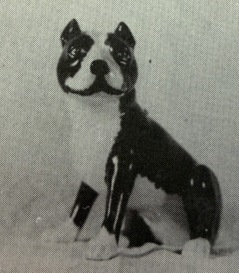 VINTAGE CALIFORNIA CERAMIC MOLD #427 PIT BULL DOG