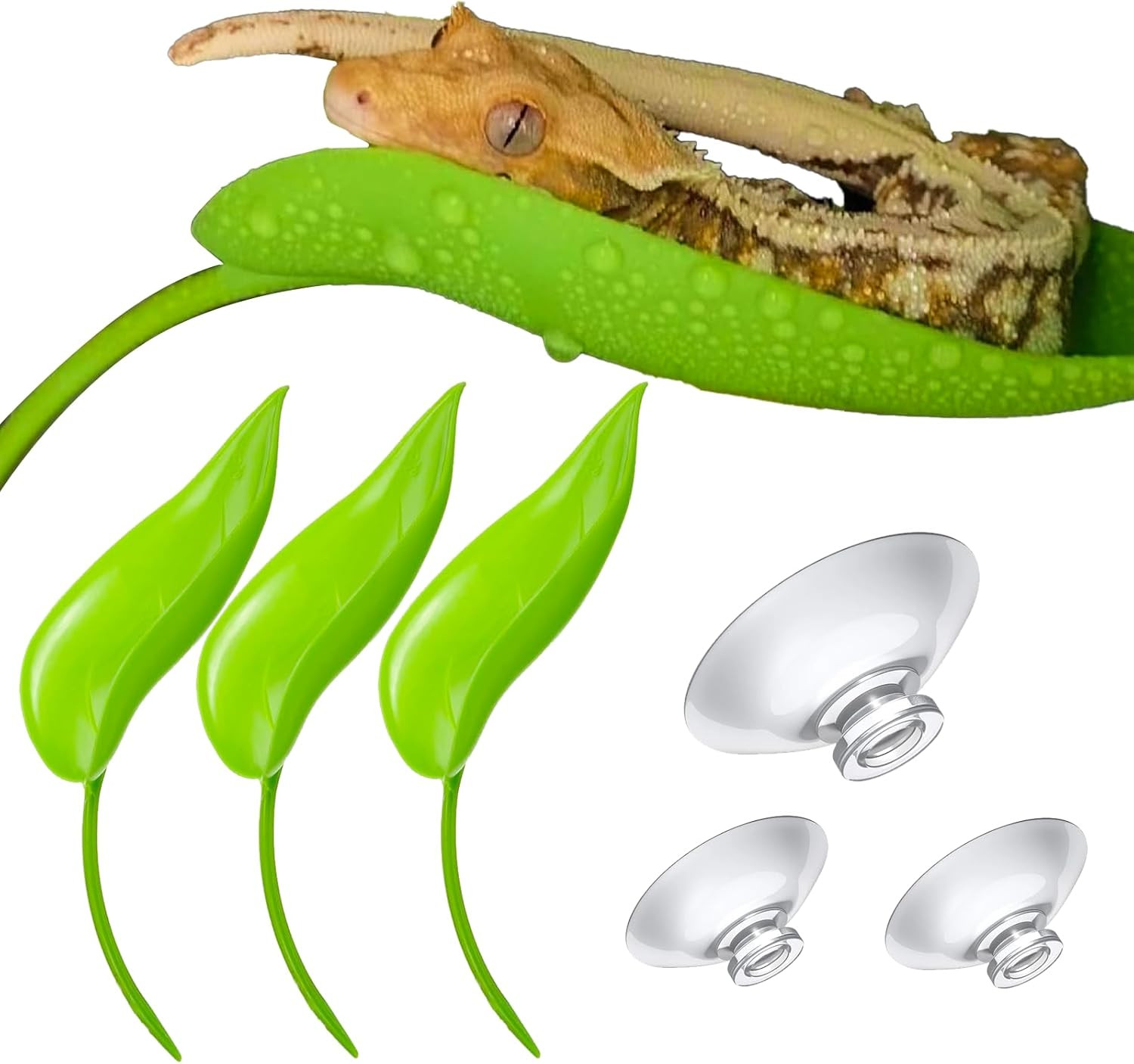 Crested Gecko Tank Accessories with 3PCS Reptile Branches, Hide & Wall Toy Odorl