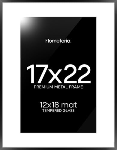  17x22 Picture Frame Black, High End Metal 17x22 Poster Frames with Mat 12x18 