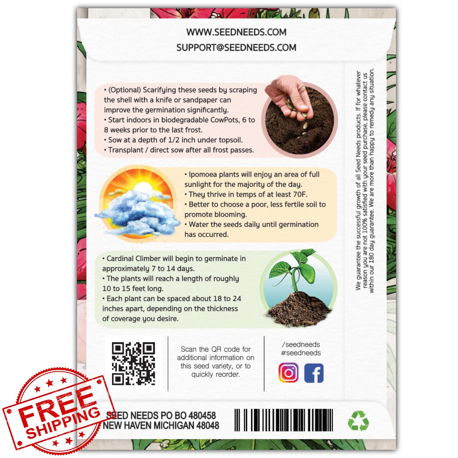 Seed Needs Cardinal Climber Seeds, 100 Heirloom Open Pollinated