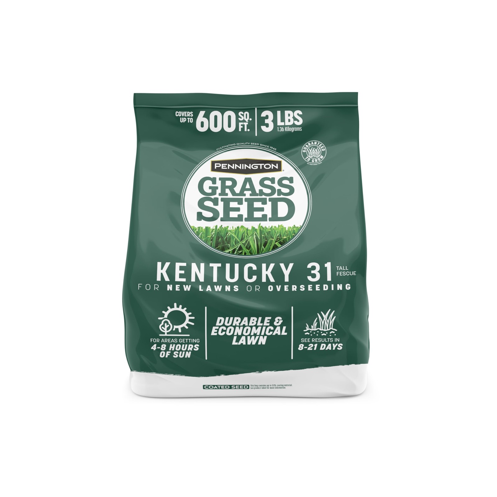 Pennington 100% Kentucky 31 Tall Fescue Penkoted Grass Seed 3 lb 3 LB, Green 