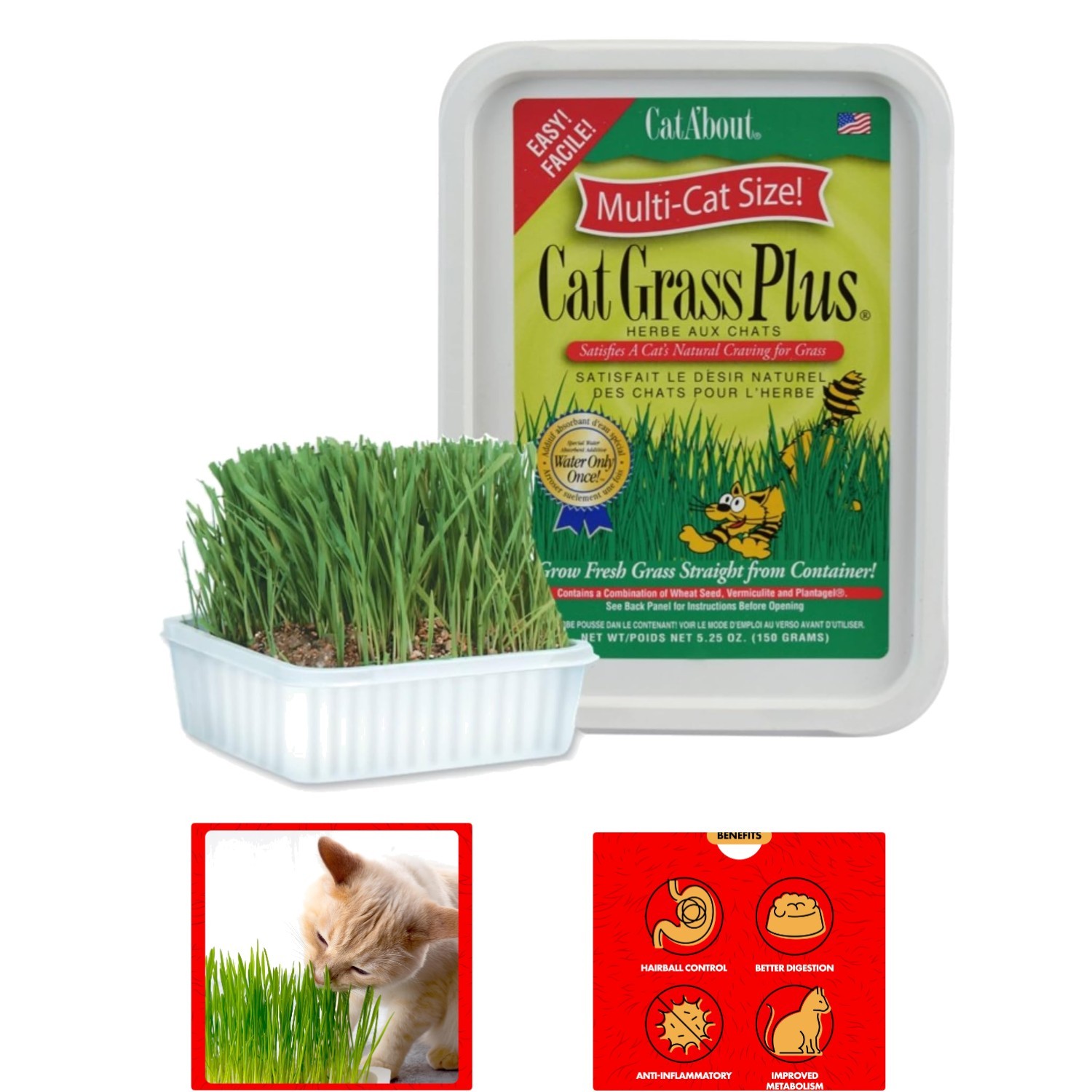 Grow Happy Cats: Cat A'bout Grass Kit – 5.25 oz for Wellness & Hairball Control