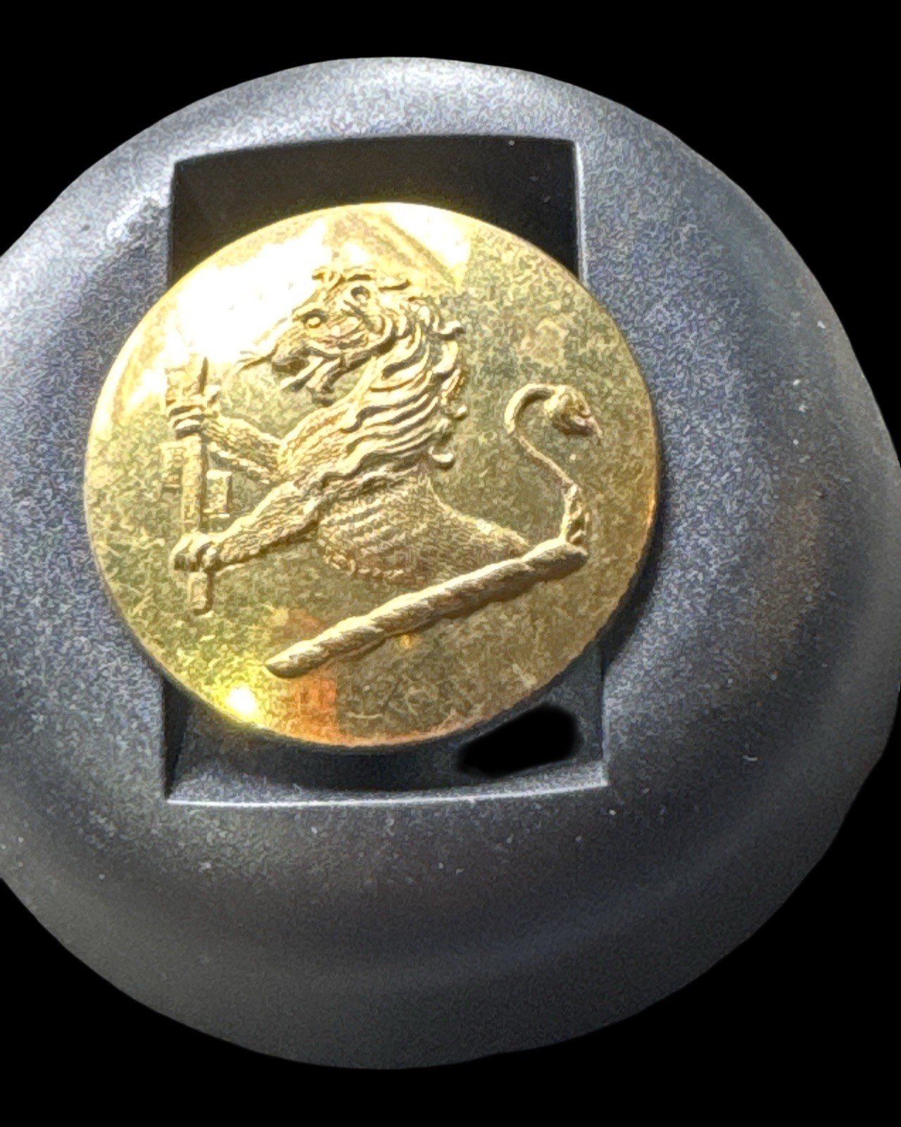 Antique G. Pitt & Co London Gilded Livery Button – Heraldic Lion Crest Vintage