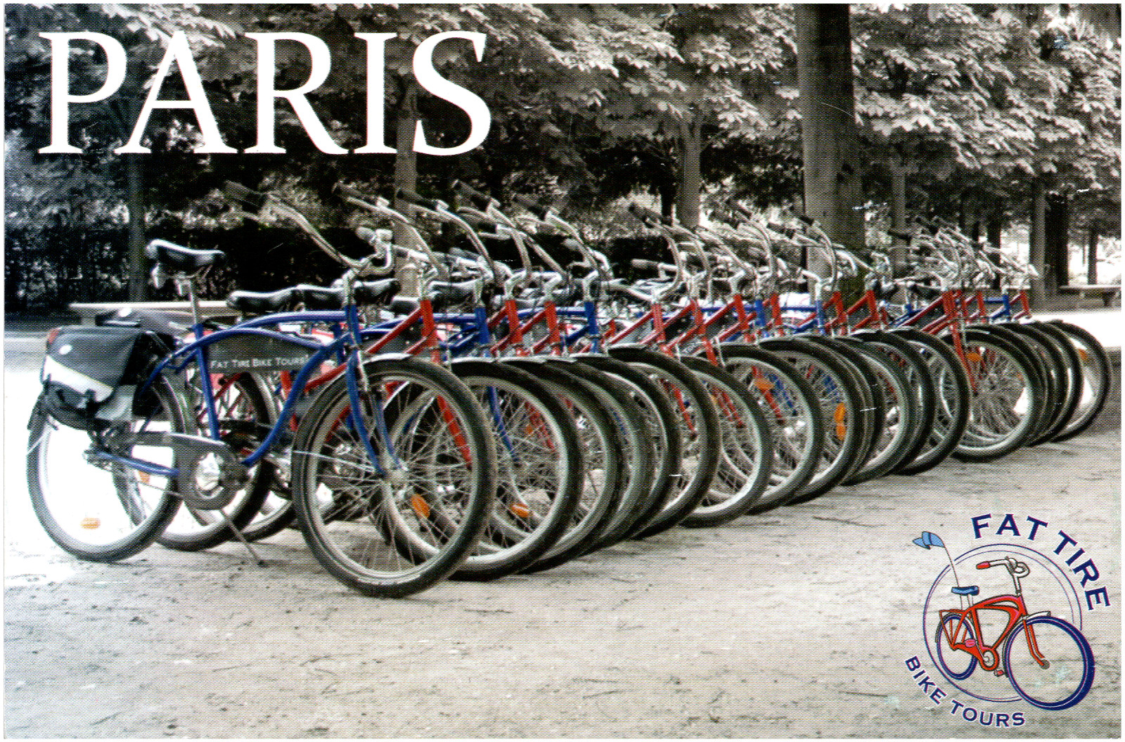 Fat Tire Bike Tours Paris France City Of Light 1999 Chrome Postcard 4x6"