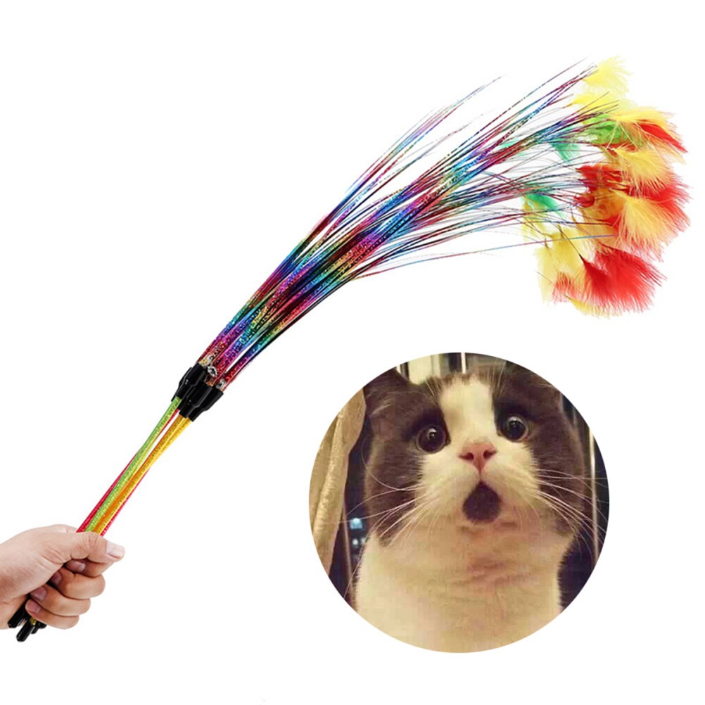 Kitten Toys Interactive Cat Accessories Bird Chase for Cats