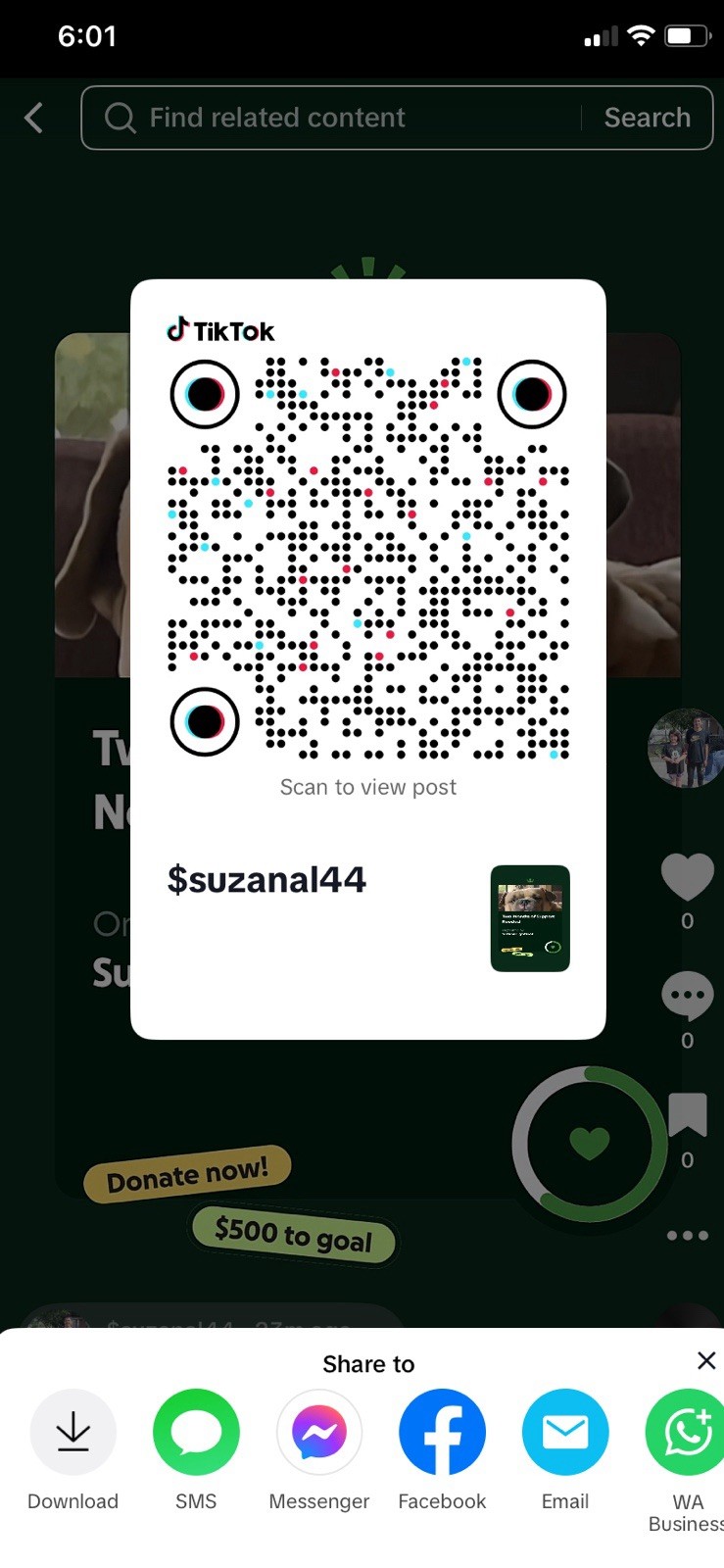 Go Fund Me Account Check It Out Money Cash Cash