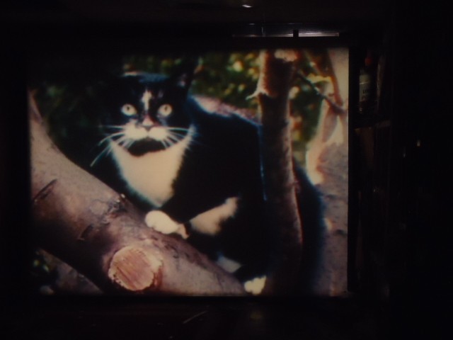 16mm Amanda's Magic Carpet Children's Film 400' Lpp