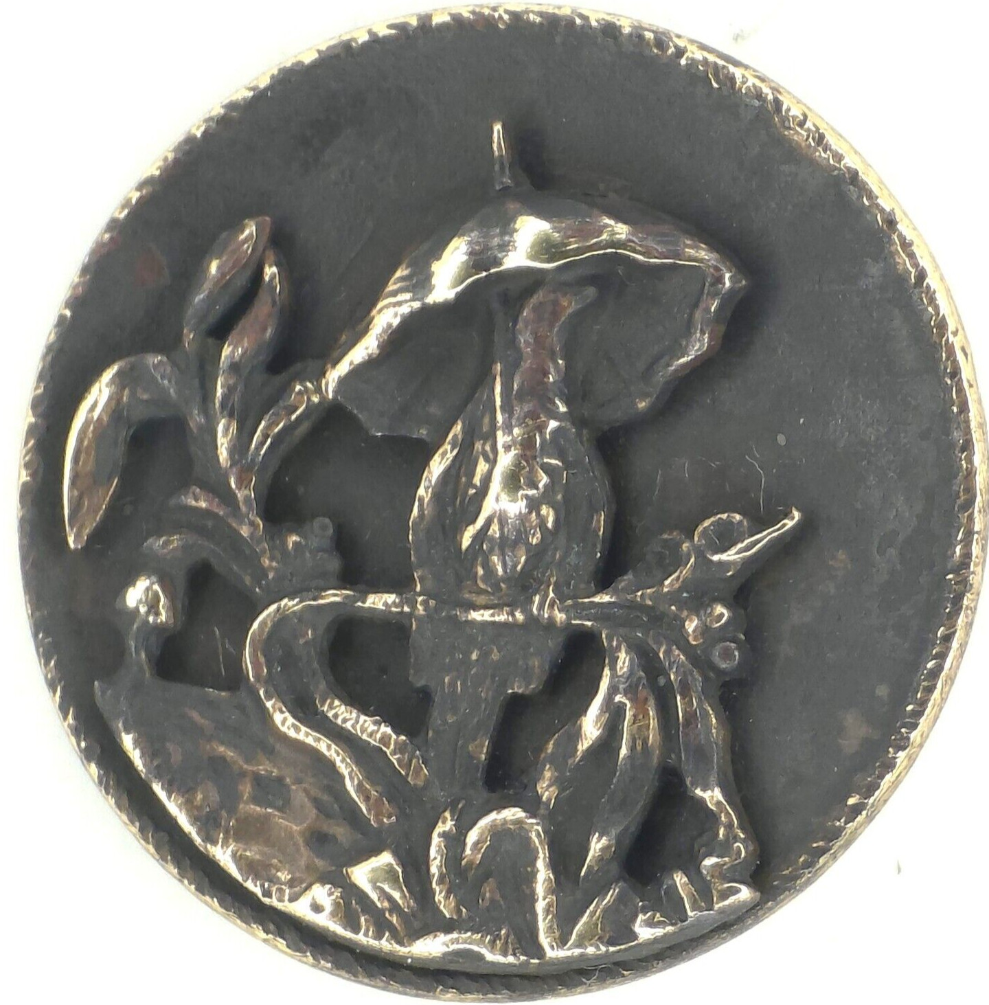 C1890s Antique Eingetr Muster Anthropomorphic Bird Story Picture Button Mr Rook