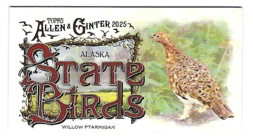 2025 Allen & Ginter LOT of 23 State Birds Mini inserts No Duplication