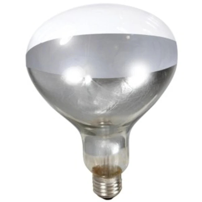 Heat Lamp Clear Bulb 250W Miller